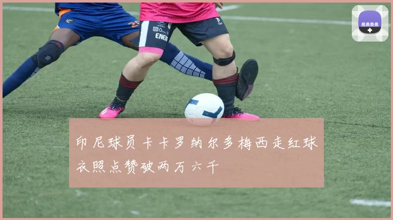 印尼球员卡卡罗纳尔多梅西走红球衣照点赞破两万六千